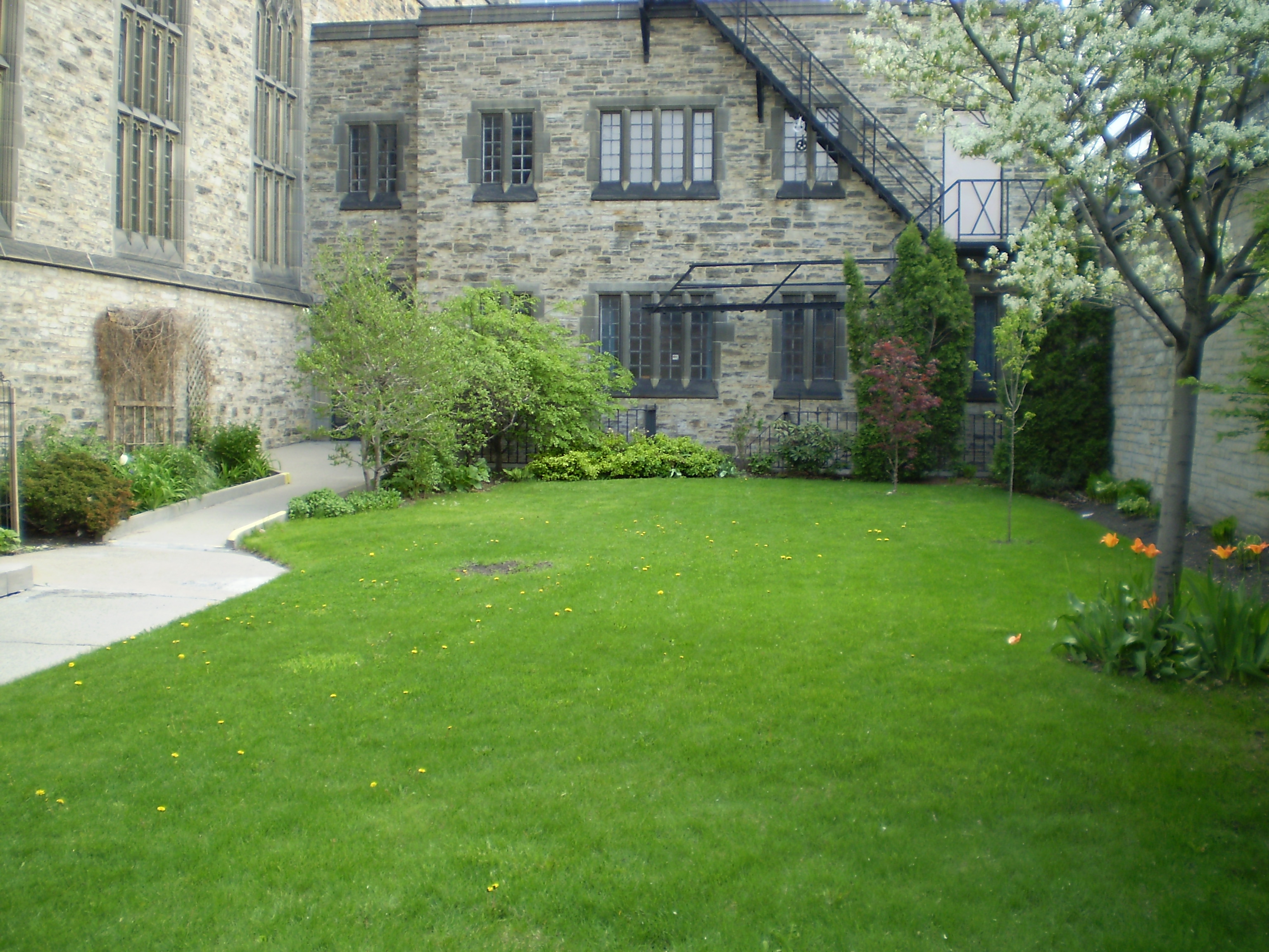 A Knox presbiteriánus egyház kertje
