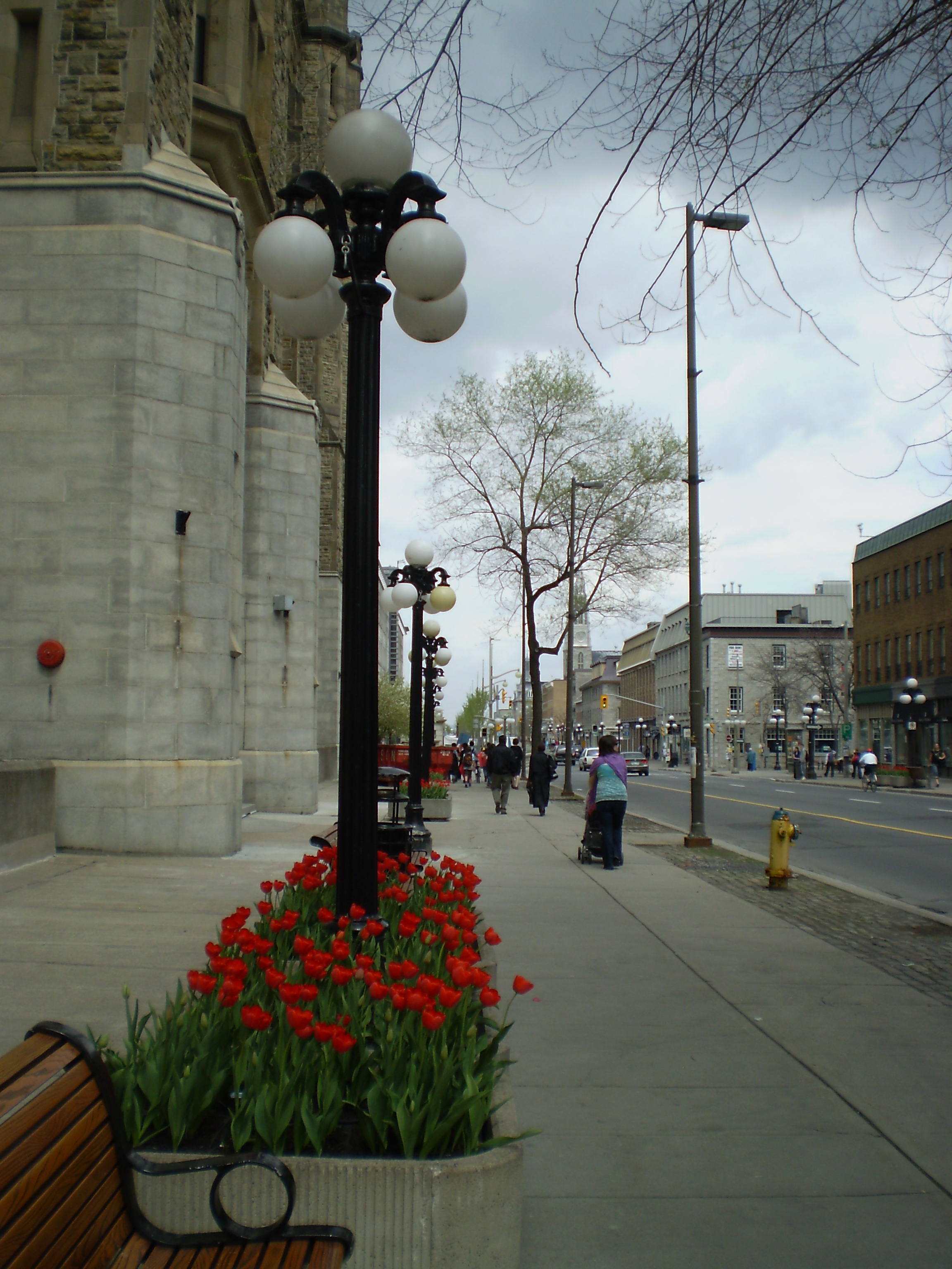 A Sussex Drive belvárosi szakasza