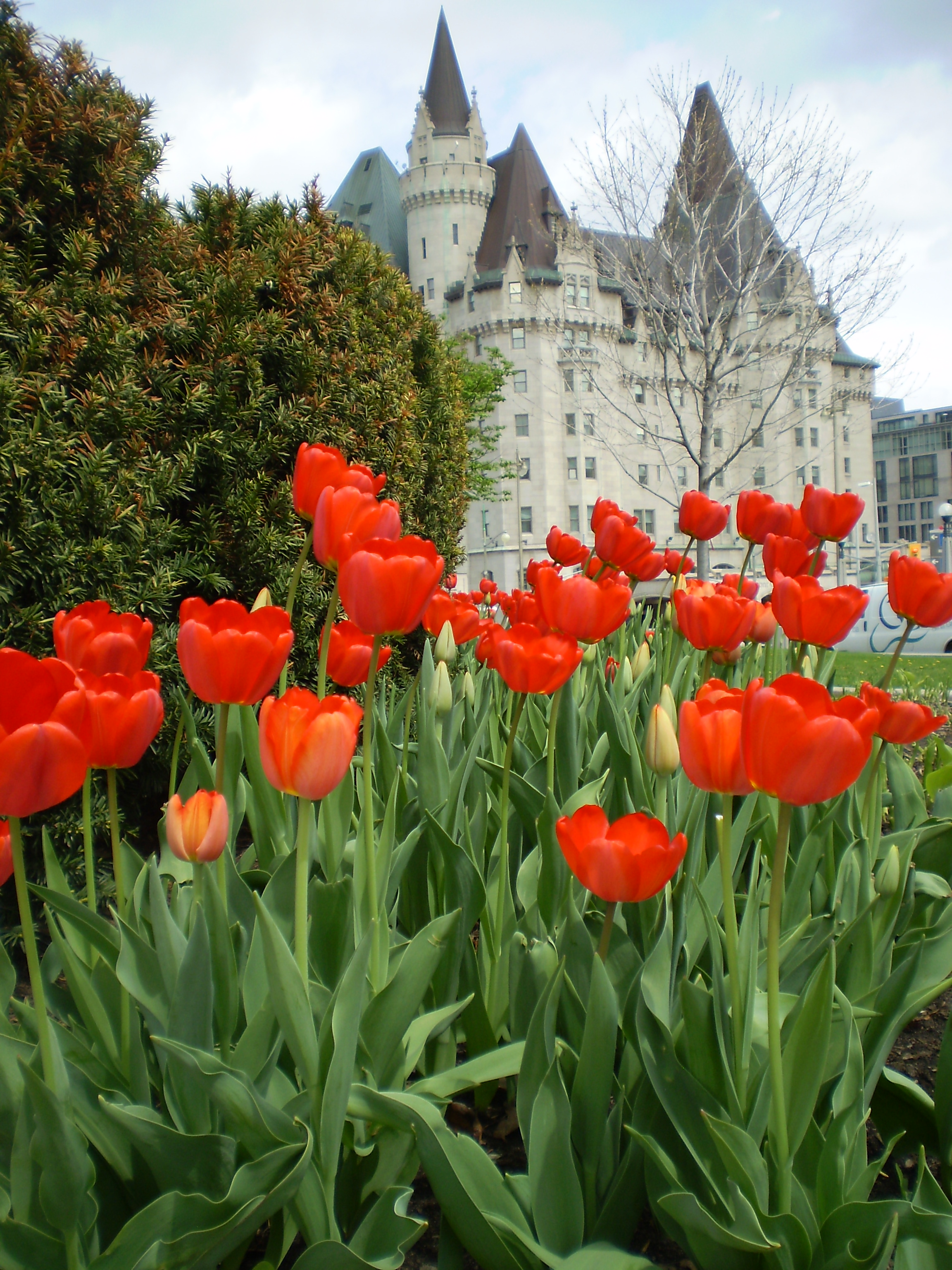 A háttérben a Chateau Laurier szálloda látható