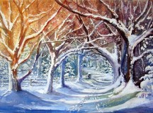 A Winter Path / Maria Balcells