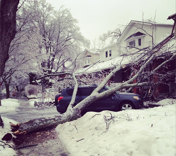 Toronto - 2013. december 22-én (Fotó: Instagram / joannabananaface )