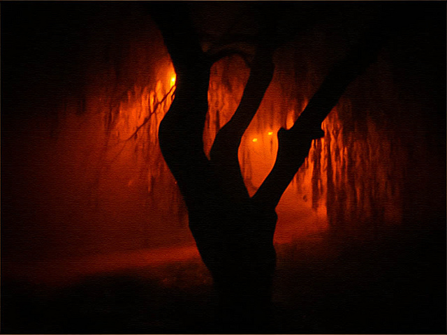 Orange fog / jarr1520 (Flickr)