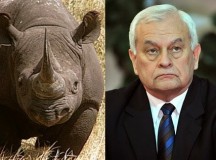Demagógisztáni napló: Harrach és a rinocérosz