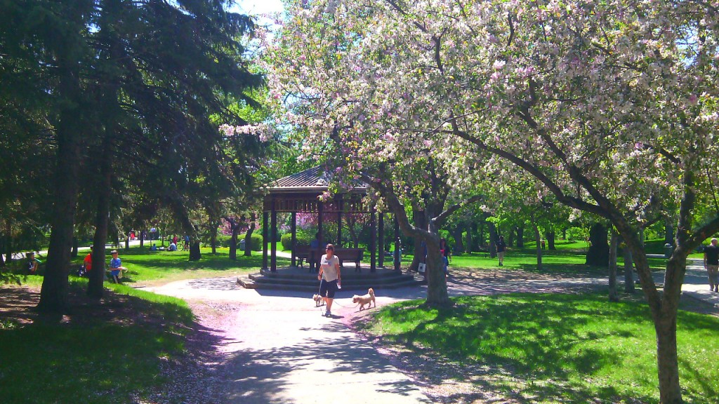 Westmount Park. A park mai változatát 1912-ben alakította ki J. Howard Manning. Fotó: Christopher Adam/KMH.