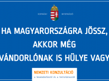 Lokális nemzeti inzultáció