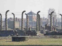 Egész Európa meghalt Auschwitzban