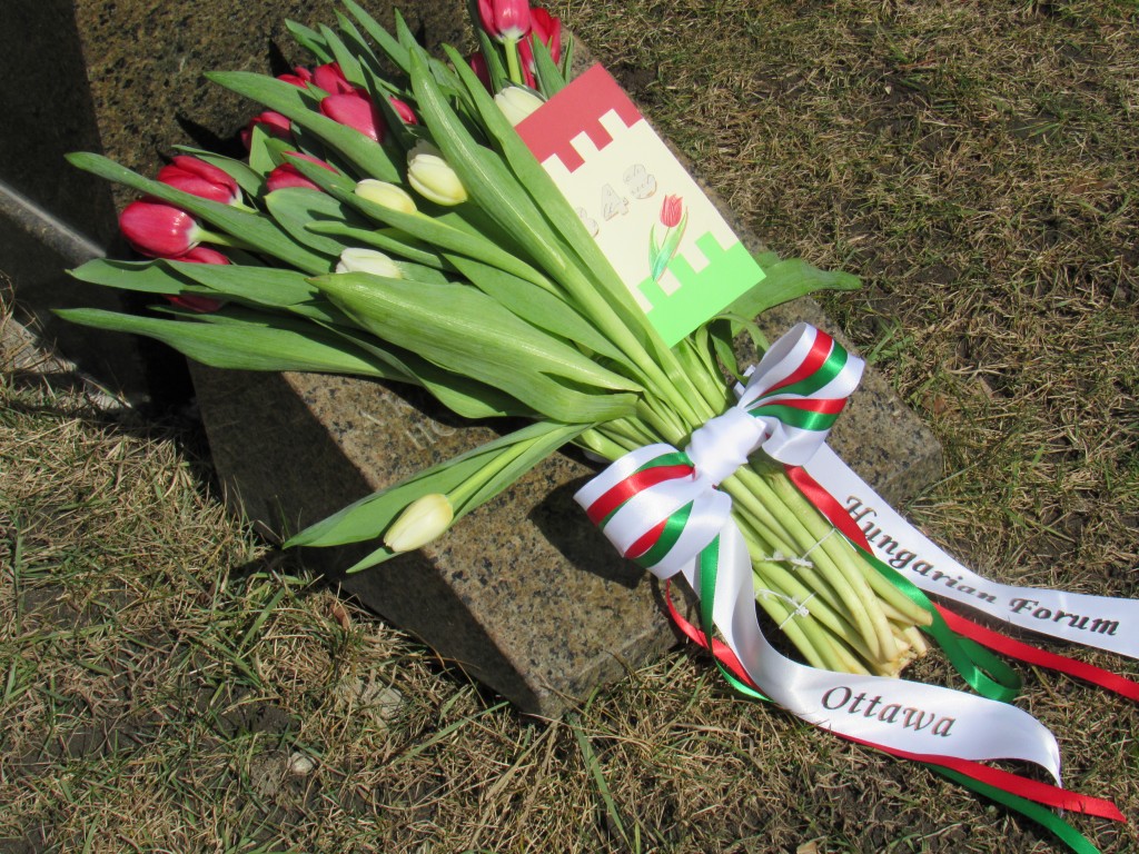 Az Ottawai Magyar Fórum által elhelyezett tulipánok a nagykövetség előtt. Fotó: C. Adam / KMH.