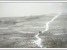 Winter bleakness in Alberta. Fotó: trekearth.com