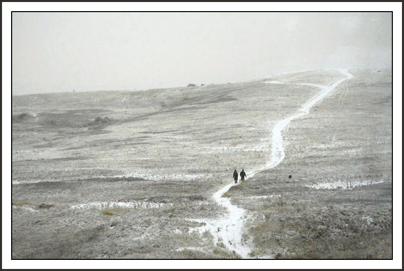 Winter bleakness in Alberta. Fotó: trekearth.com