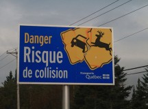 Az angol nyelv nem egy ragályos betegség — Végre kétnyelvűek lehetnek Québec közúti táblái