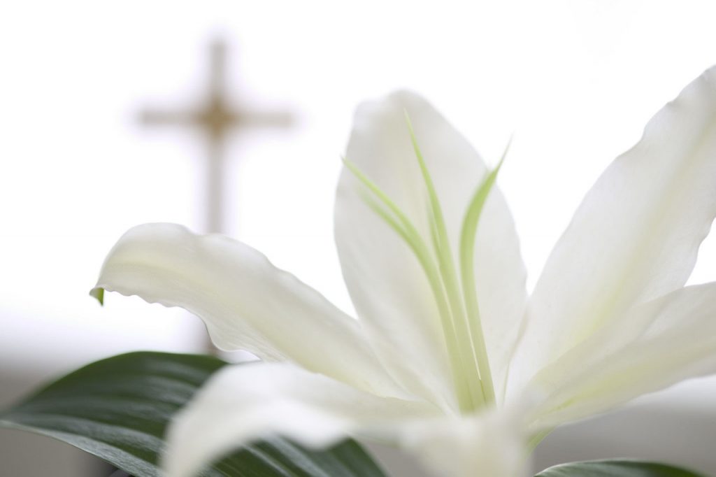 Mindennapi feltámadás — Húsvéti gondolatok