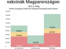 Kaphattak-e védőoltást a kötéltáncosok?