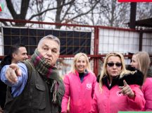 Árad a szeretet az Orbán rendszerben