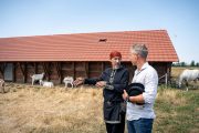 Akiknek a vereség a szenvedélyük