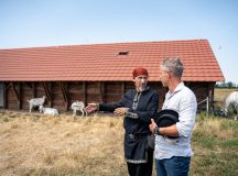 Akiknek a vereség a szenvedélyük
