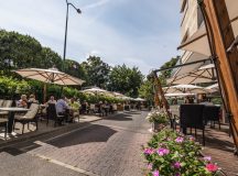 Bezár, hogy megszépülve nyílhasson