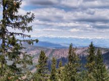 Közeli és meglepő