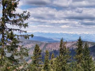 Közeli és meglepő